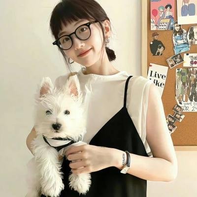 纽约二日情